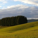 Fine estate: grigliata assieme sull’Altopiano di Asiago